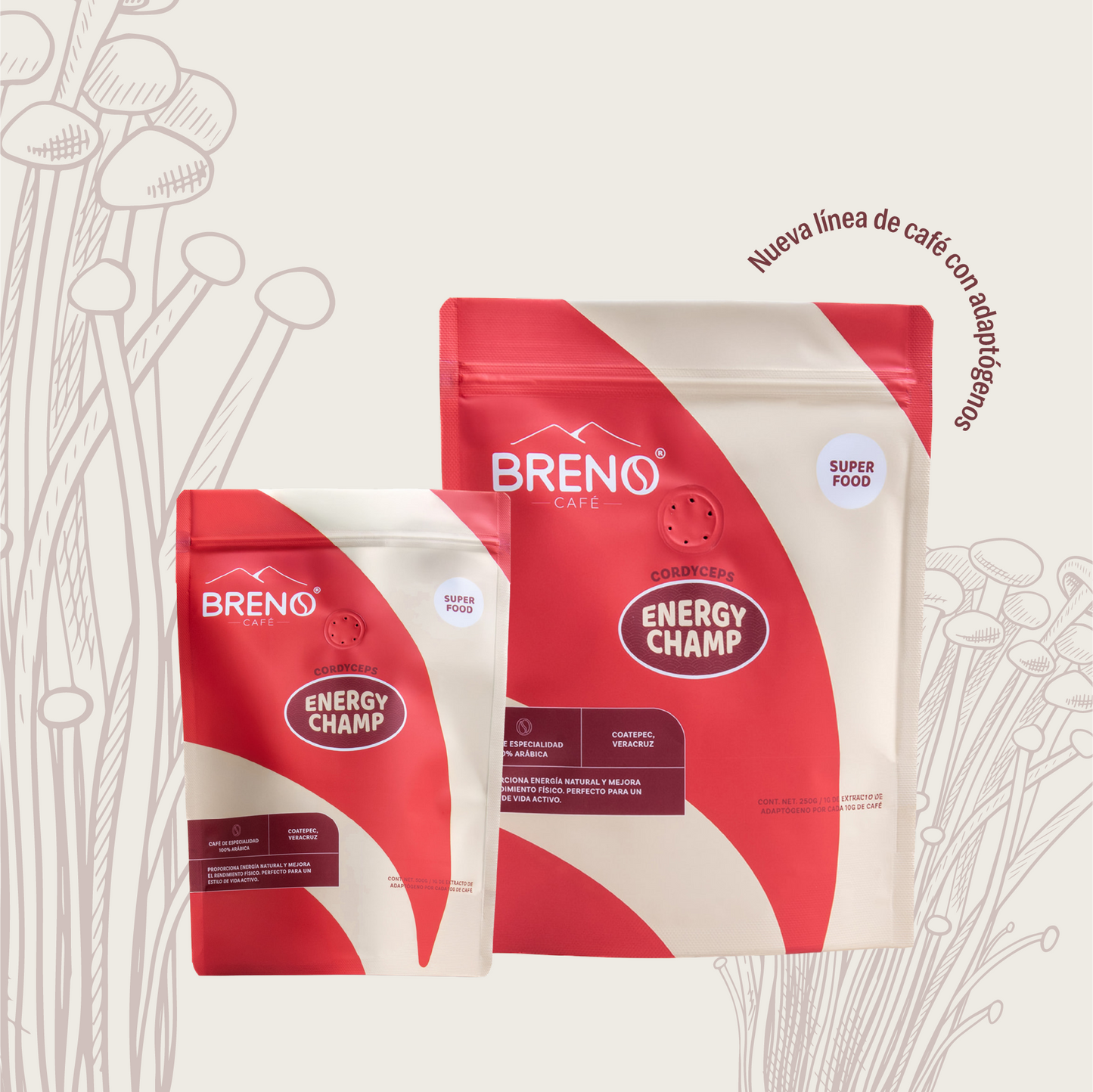 ENERGY CHAMP - Café con Cordyceps